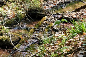 Eine alte Holzdeichel